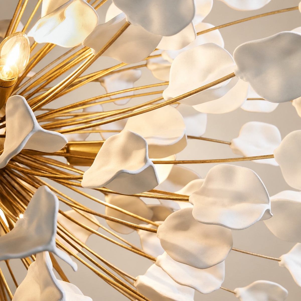 Lunaria Chandelier