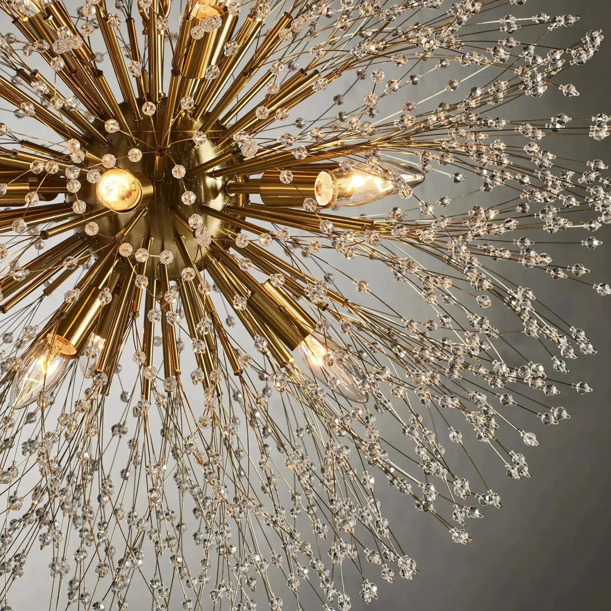 Dandora Chandelier