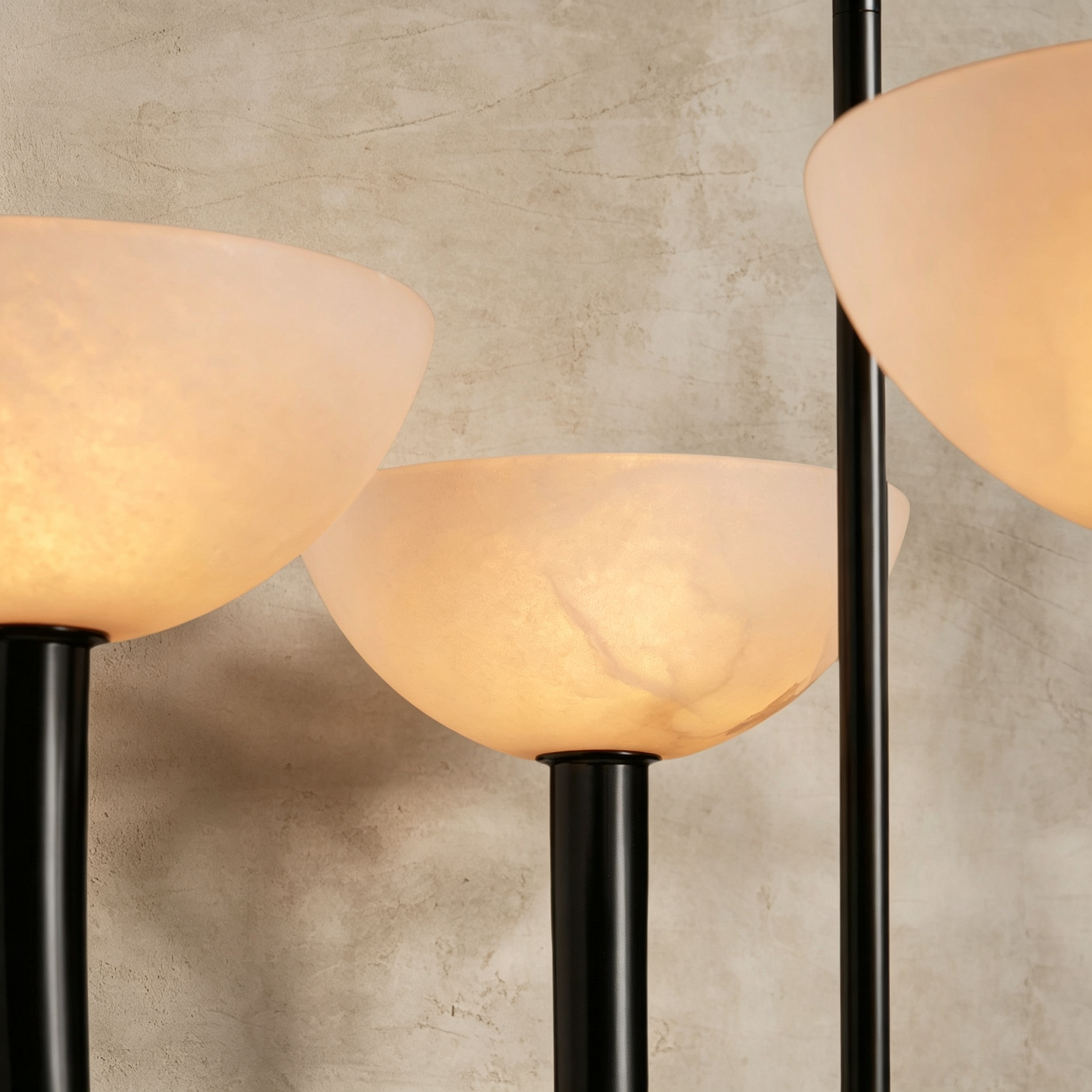 Saguara Chandelier