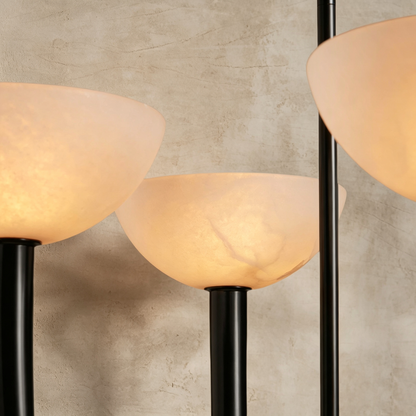 Saguara Chandelier