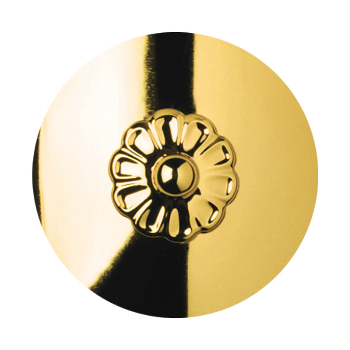 Coinora Century Chandelier 42"